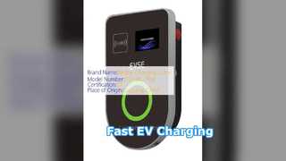 7kW EV চার্জার ওয়াল মাউন্ট টাইপ আইপি